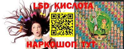 наркотики Гусев
