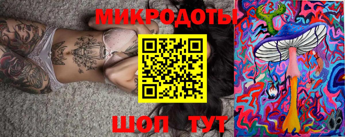 Галлюциногенные грибы Psilocybe Мыски