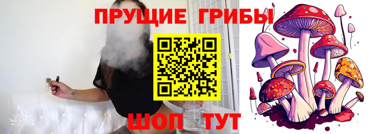 Псилоцибиновые грибы GOLDEN TEACHER  Псилоцибиновые грибы Psilocybe  как найти наркотики  Мыски  Вход с VPN 